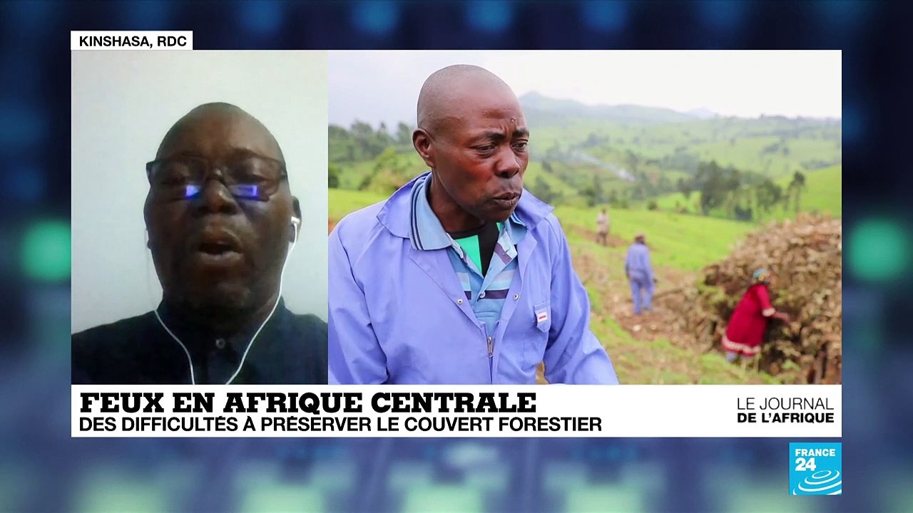 Incendies en Afrique centrale : plus de 10 000...