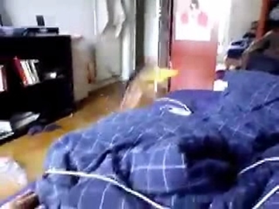 Ouaf