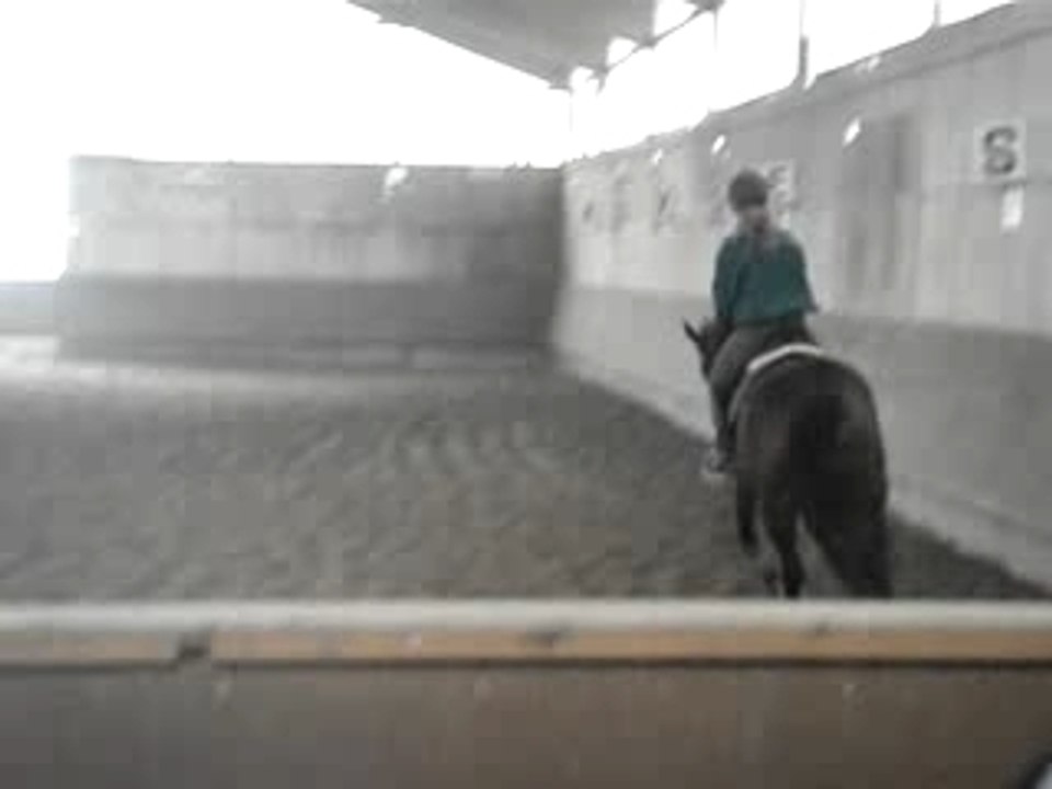 Pallas stage bernadette millot 2