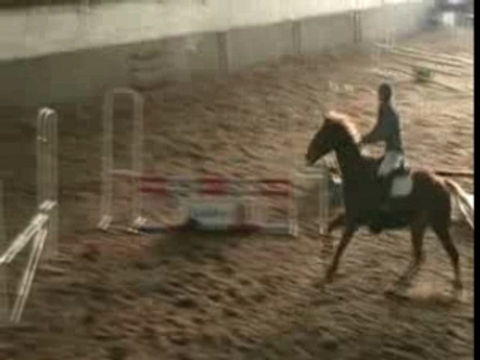 concours de cso avec looping