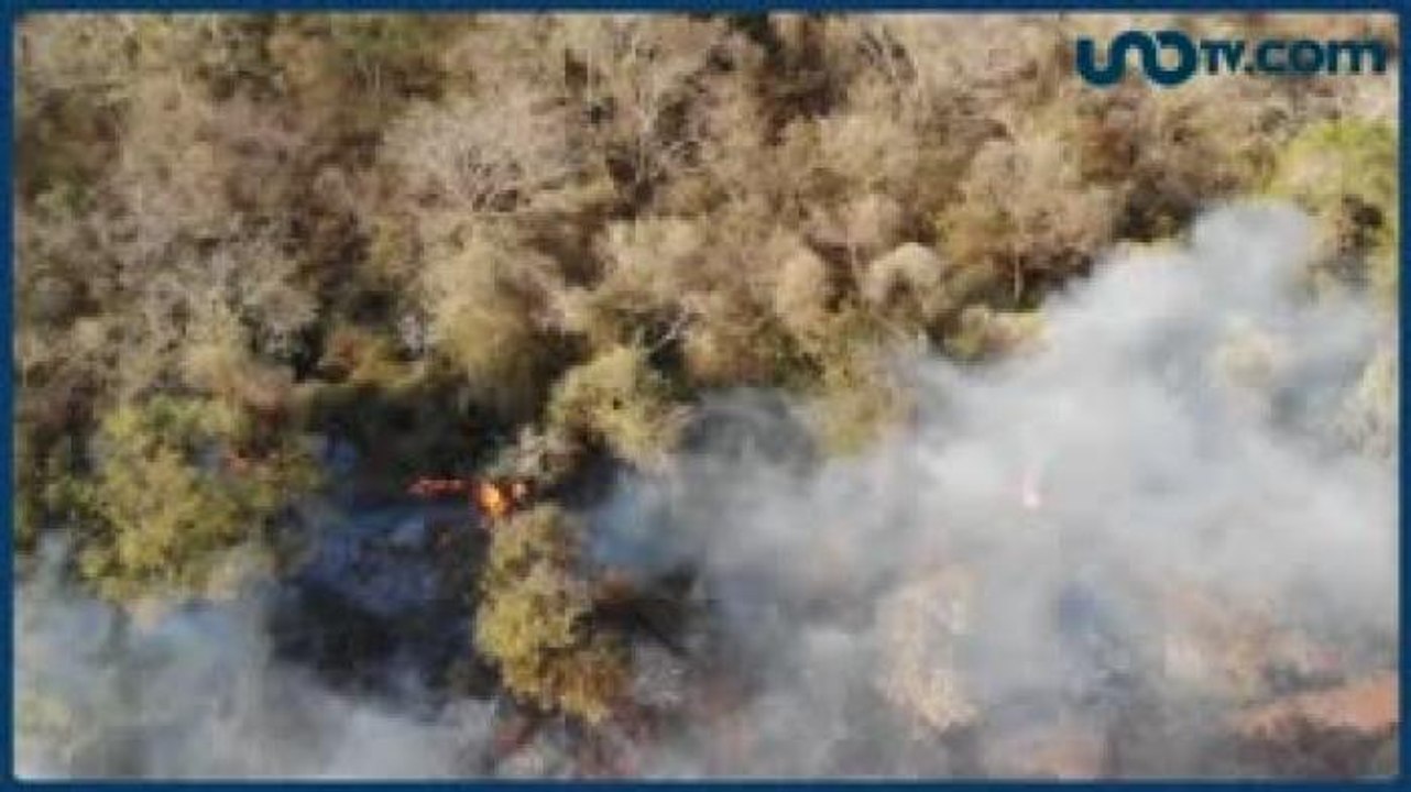 Javier Solórzano | El problema del incendio en la Amazonia es el calentamiento global