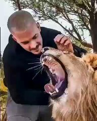 Le courage de cet homme est époustouflant. Regardez !