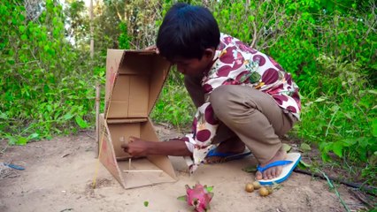 Sadece Karton Kullanarak Eşsiz Tavşan Tuzağı