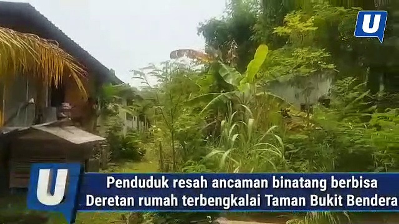 Rumah Terbengkalai