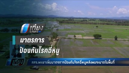 พะเยา เพิ่มมาตรการป้องกัน โรคฉี่หนู หลังพบระบาดหนัก - เที่ยงทันข่าว