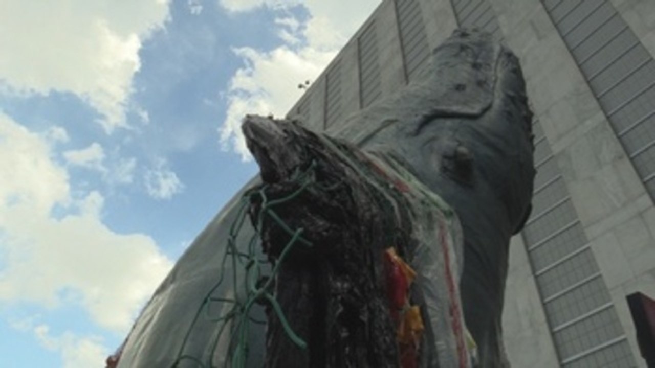 Una imponente ballena emerge en el patio de la ONU para defender los océanos