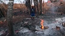 بيرو وكولومبيا تدعوان لعقد قمة إقليمية طارئة بشأن حرائق الأمازون