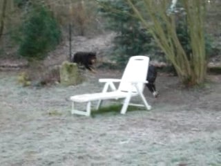 Jogging du dimanche matin