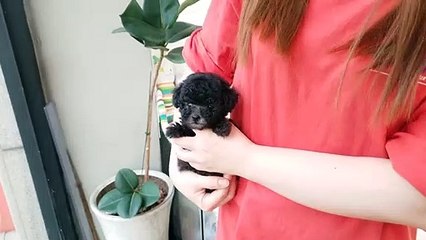 서귀포출장안마 -후불100%ョOiOV5694V2960｛카톡BRO87｝ 서귀포전지역출장안마 서귀포오피걸 서귀포출장마사지 서귀포출장안마 서귀포출장마사지 서귀포콜걸샵안마 서귀포출장아로마서귀포출장안마후기☰☶➳서귀포출장샵마사지