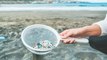 Microplásticos presentes en el agua no representarían un riesgo para la salud según la OMS