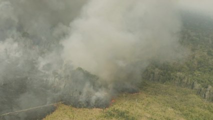 Brasil aceptará ayuda para los incendios siempre que decidida cómo usarla