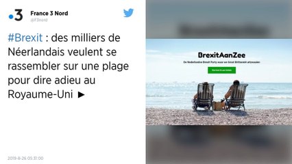 Brexit. Des milliers de Néerlandais vont se réunir sur une plage pour dire adieu au Royaume-Uni.