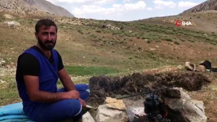 Tuncelili hayvansever yaralı dağ keçisine eliyle su içirdi