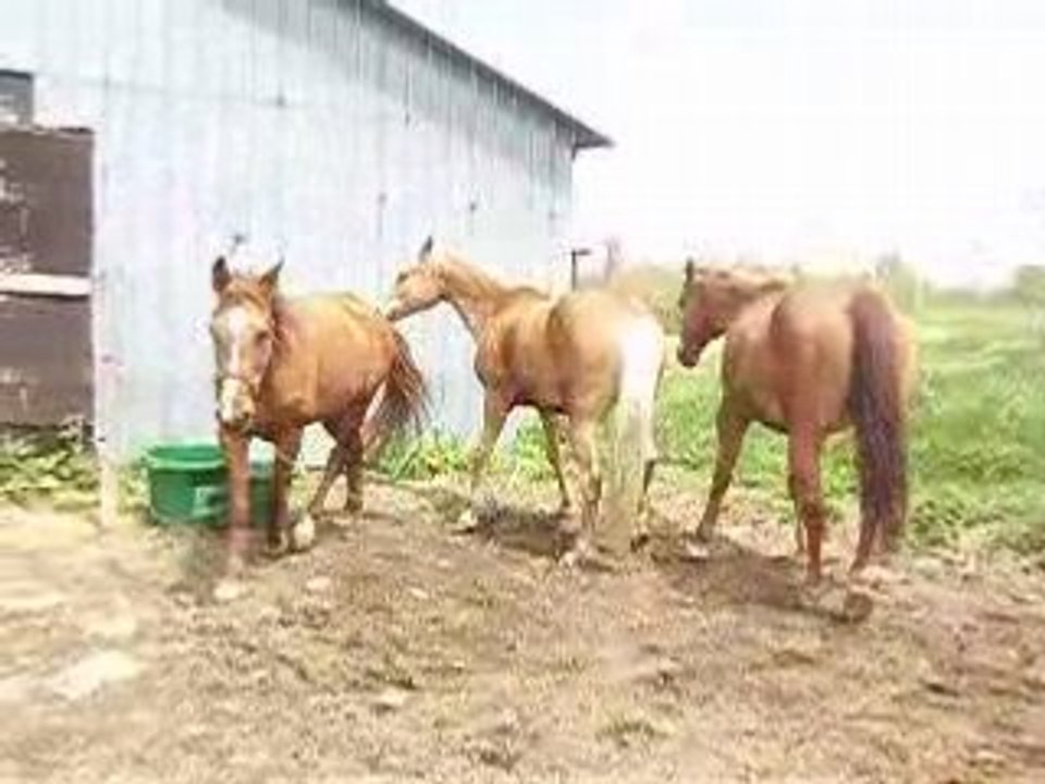 Rosann aime pas les nouveaux hihihi