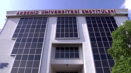 "Orman yangınları, küresel iklim değişikliğine neden oluyor"