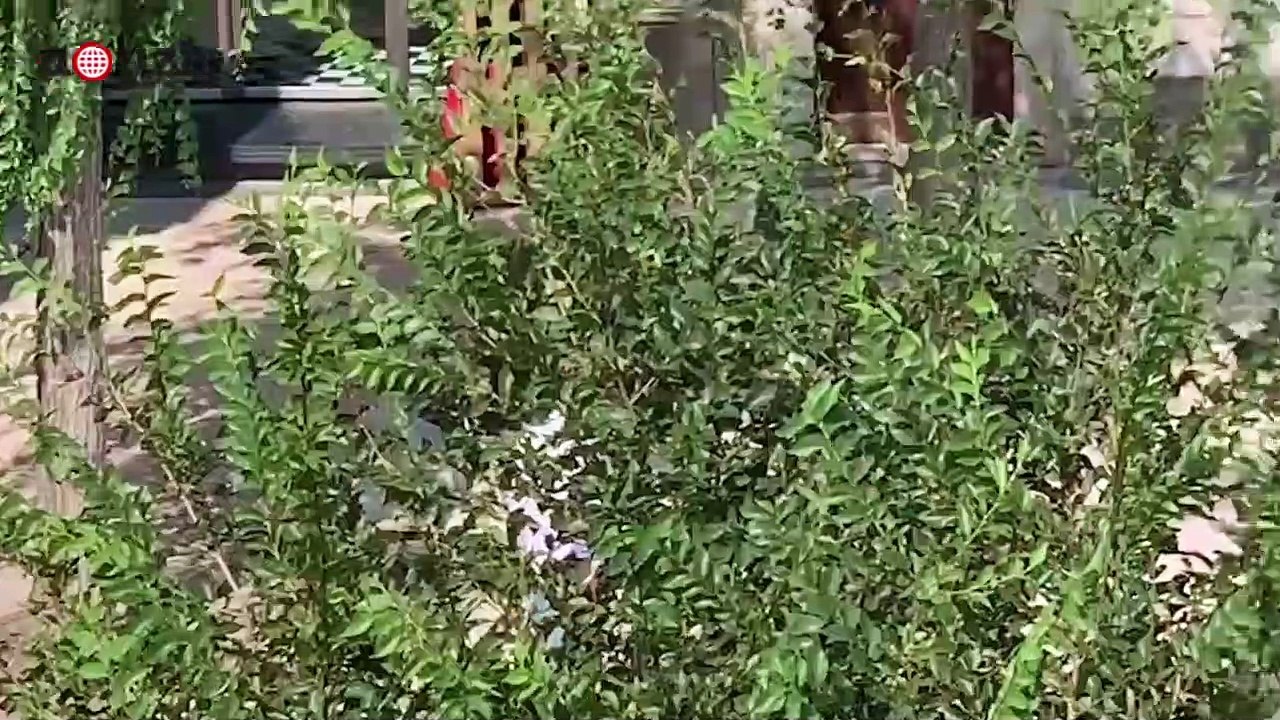 Matera, 007 sbarca nel capoluogo lucano: macchine e inseguimenti tra i sassi | Notizie.it