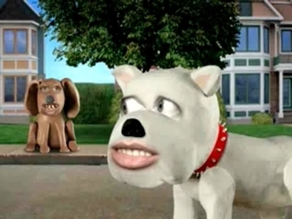 le chien