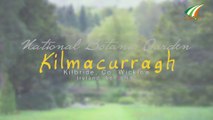 Kilmacurragh National Botanic Garden Ireland by Ivision Ireland | Martin Varghese