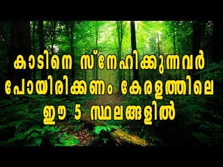 5 Best Forest Destinations In Kerala | കാടിനെ സ്നേഹിക്കുന്നവർ ഇവിടെ പോയിരിക്കണം | Oneindia Malayalam