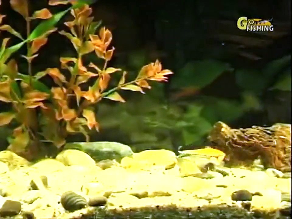 04. Братья Щербаковы Зимняя рыбалка