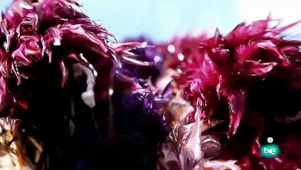 El color. El espectro de la ciencia 3/3: Los colores de la Tierra - Documental