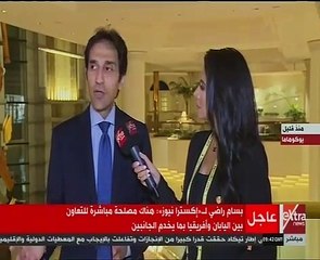 بسام راضى: اليابان تعتبر مصر ركيزة أساسية فى أفريقيا