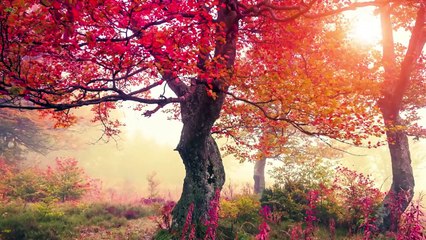 남양주출장안마 -후불100%ョO7OV5222V6739｛카톡CS69｝ 실시간파워볼 남양주전지역출장안마 남양주출장마사지 남양주안마 남양주출장마사지 남양주출장샵 남양주출장20대아가씨㌿㌳∊실시간파워볼