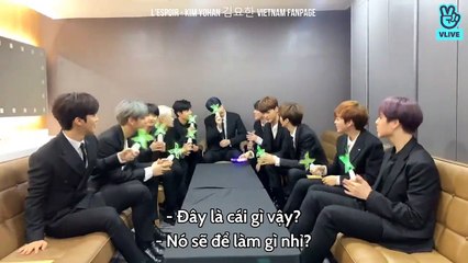 [VIETSUB] X1 D-DAY | BEFORE PREMIER SHOW-CON