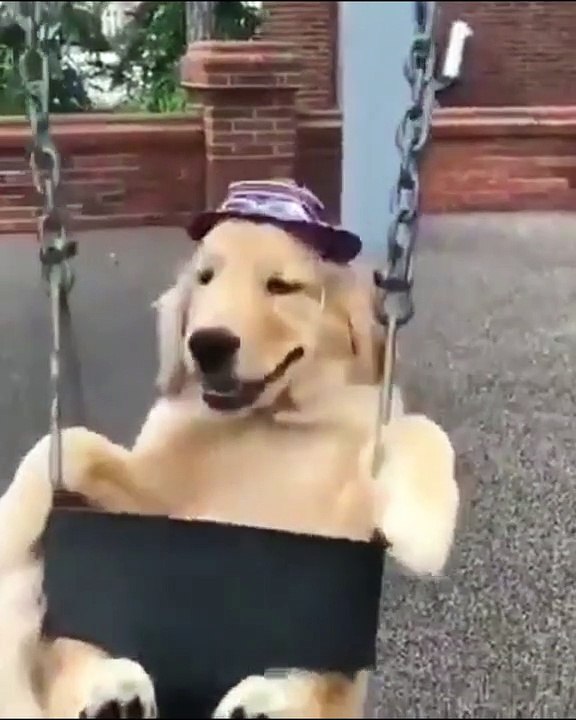 Çocuklar gibi şendiler