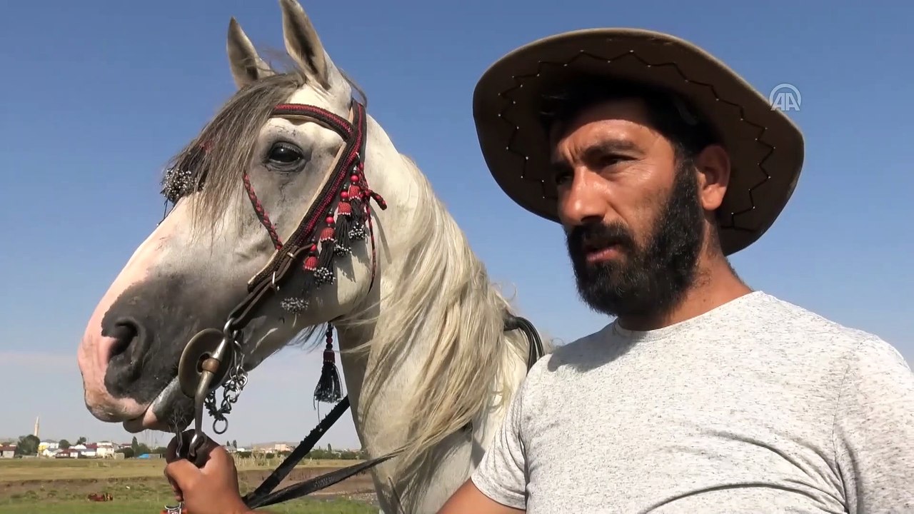 Cirit atları derede serinliyor - KARS