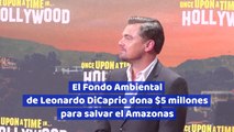 El Fondo Ambiental de Leonardo DiCaprio dona 5 millones para salvar el Amazonas