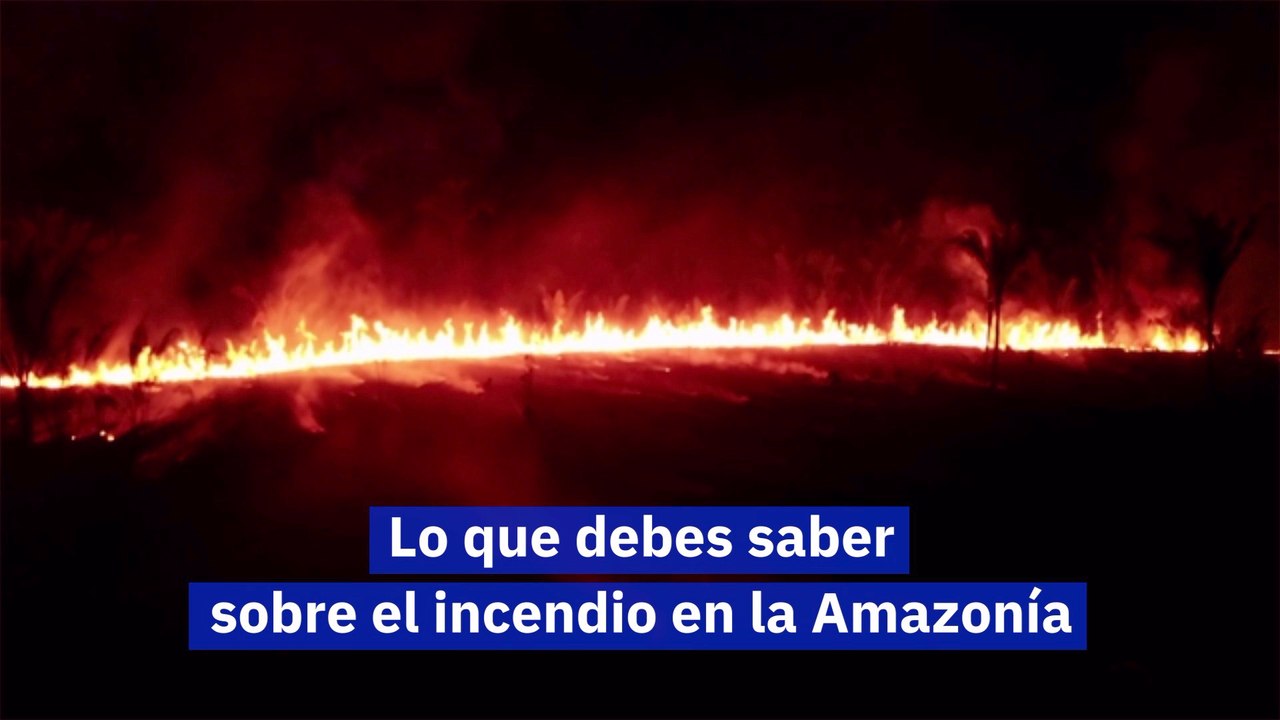 Lo que debes saber sobre el incendio en la Amazonía