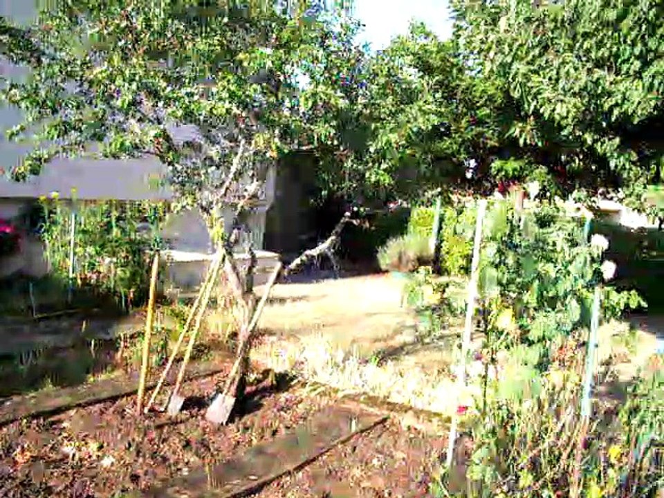 25/07/19 L'Òrt al matin