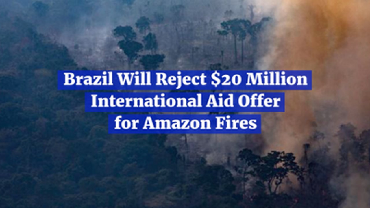 Brazil Rejects Needed Amazon Rainforest Help