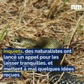 Serpents dans le Var, percuté par un train, décor de film:  voici votre brief info  de mercredi après-midi