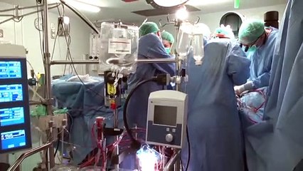 España encabeza la donación de órganos en todo el mundo