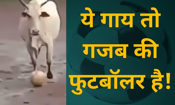 Top 5 viral trends on social media | facebook |twitter| whatsapp