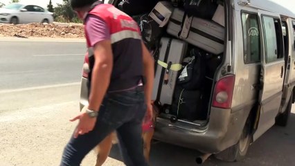 Jandarmadan 'Divit' ve 'Ezber' destekli trafik denetimi - HATAY