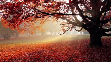 서울출장안마 -후불100%ョØ7ØM7575M0069｛카톡CC6969｝ 무료 온라인 카지노 게임 서울전지역출장안마 서울출장마사지 서울안마 서울출장마사지 서울출장샵 서울출장만남1위≜≋◆무료 온라인 카지노 게임