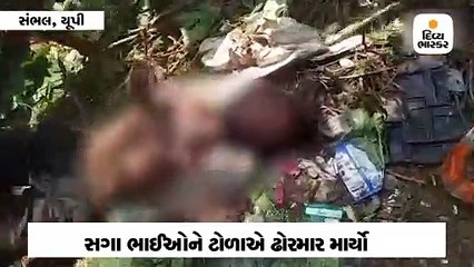 ભત્રીજાને દવાખાને લઈ જતા યુવકોને ટોળાએ બાળક ચોર સમજીને માર્યા, એકનું મોત