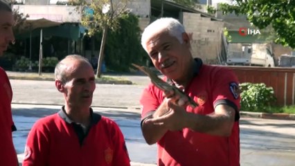 Viranşehir’de itfaiye erleri balık kuşunu telef olmaktan kurtardı