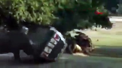 Gergedan, eğitmenin otomobilini hurdaya çevirdi