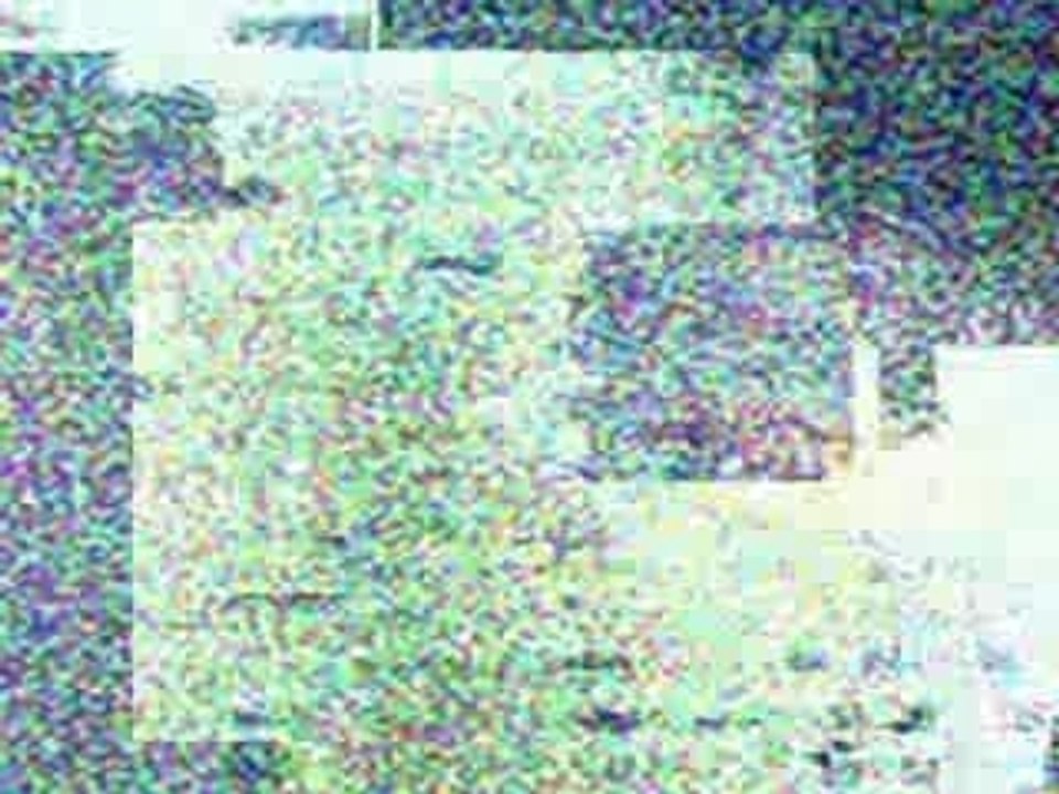 Video video diary splicing 2 - video, diary, splicing - Dail