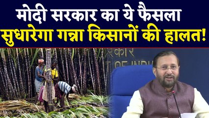 Modi Government गन्ना किसानों को देगी एक्सपोर्ट सब्सिडी