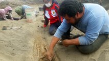 Hallan 227 restos de niños sacrificados en ritual precolombino en Perú