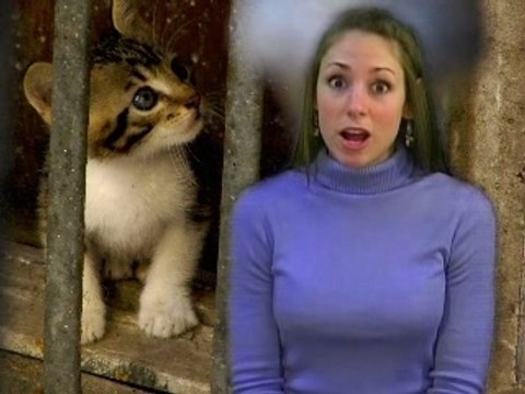 Animal Cruelty Animal Cruelty, Pet Abuse, Nutrition Natalie