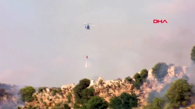 Antalya perge antik kenti yakınında orman yangını