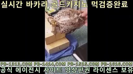 우리카지노     https://www.tie33.com           pc카지노       https://www.tie33.com  도박           https://www.tie33.com   아바타전화배팅 https://www.tie33.com           바카라필승법   https://www.tie33.com  올인구조대     https://www.tie33.com           바카라추천     https://www.tie33