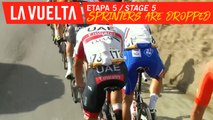Les sprinteurs sont lachés / Sprinters are dropped - Étape 5 / Stage 5 | La Vuelta 19