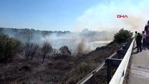 Sürücü yanan brandayı attı, 1 hektarlık makilik ve otluk alan kül oldu